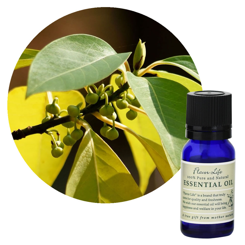 フレーバーライフ】メイチャン（リツェアクベバ