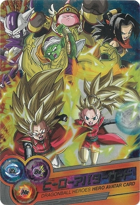 ドラゴンボールヒーローズ ヒーローアバターカード | ドラゴンボール