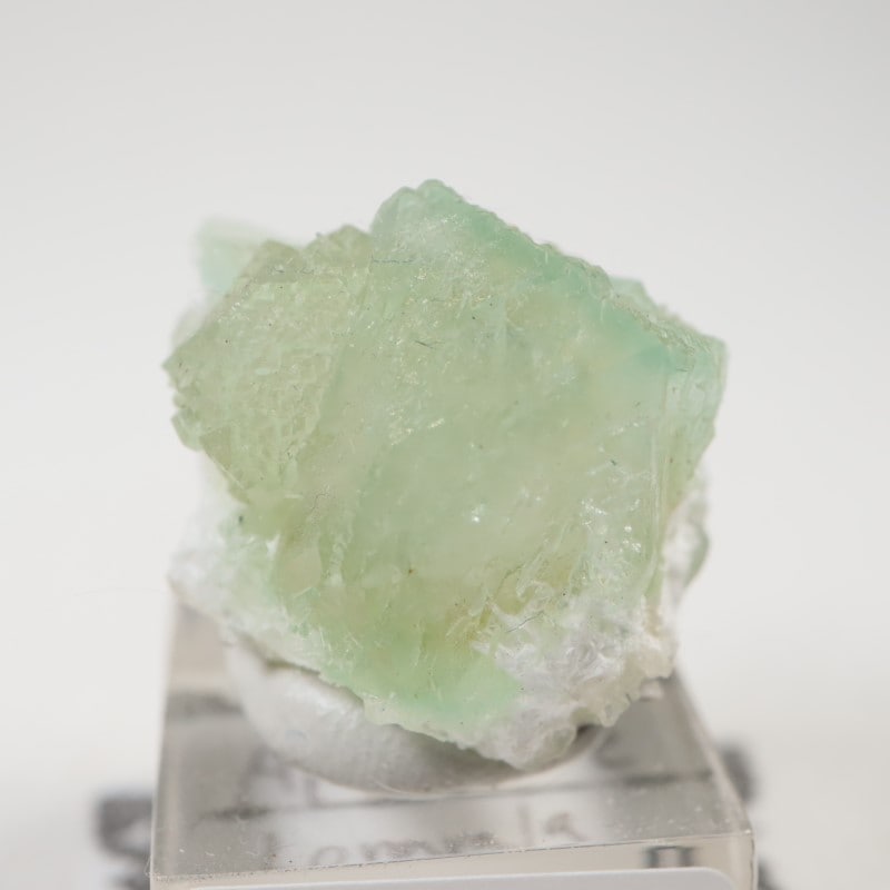 アポフィライト 魚眼石 鉱石 鉱物 ミネラル 標本 原石 母岩付き 【公式