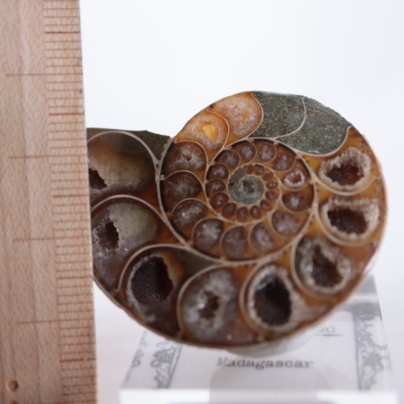 3_000000003608.jpg?1678209904