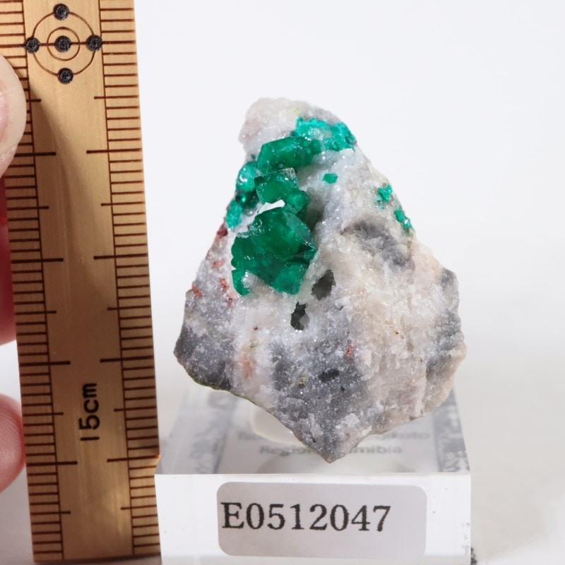 ツメブ鉱山 ダイオプテーズ | 鉱物標本,タ行,ダイオプテーズ/翠銅鉱