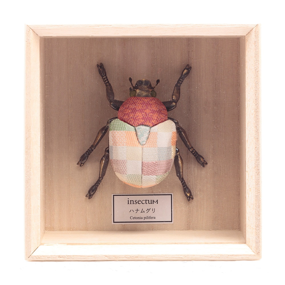 Insectum ハナムグリ IPM-30-Z | 動物 | 【公式】 人形の久月