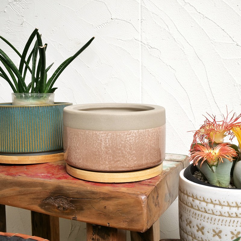 30%OFF セラミックプランター ピンク 植木鉢 平鉢｜マライカ公式通販