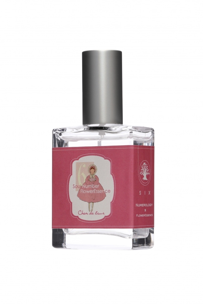 ECストロングスプレー15ml[Energy Cleansing Strong Spray] | ブランド