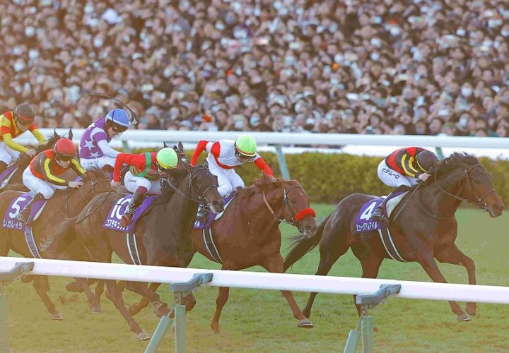 R7・有馬記念レースパネル ミュージアムマイル③ | サンスポe-shop