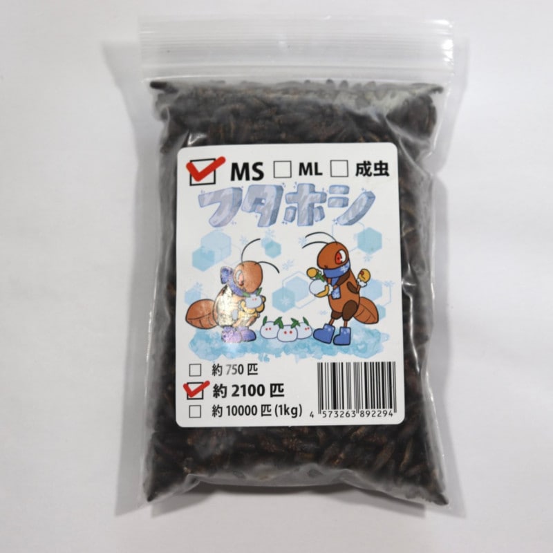 冷凍フタホシML1.2kg 冷凍フタホシML1.2kg 冷凍フタホシML 約780匹600g