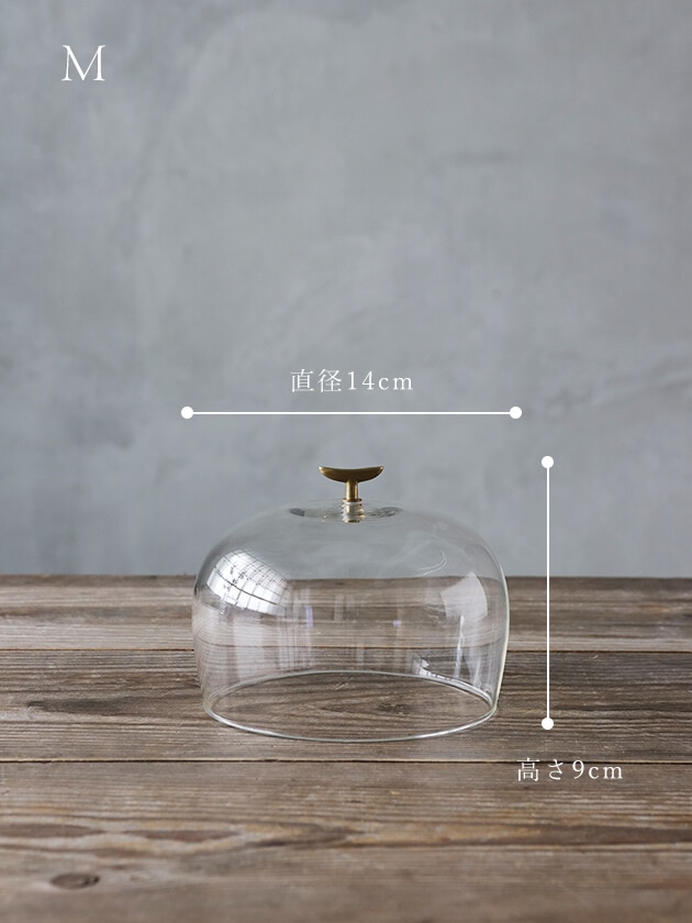 ガラスドームSeed