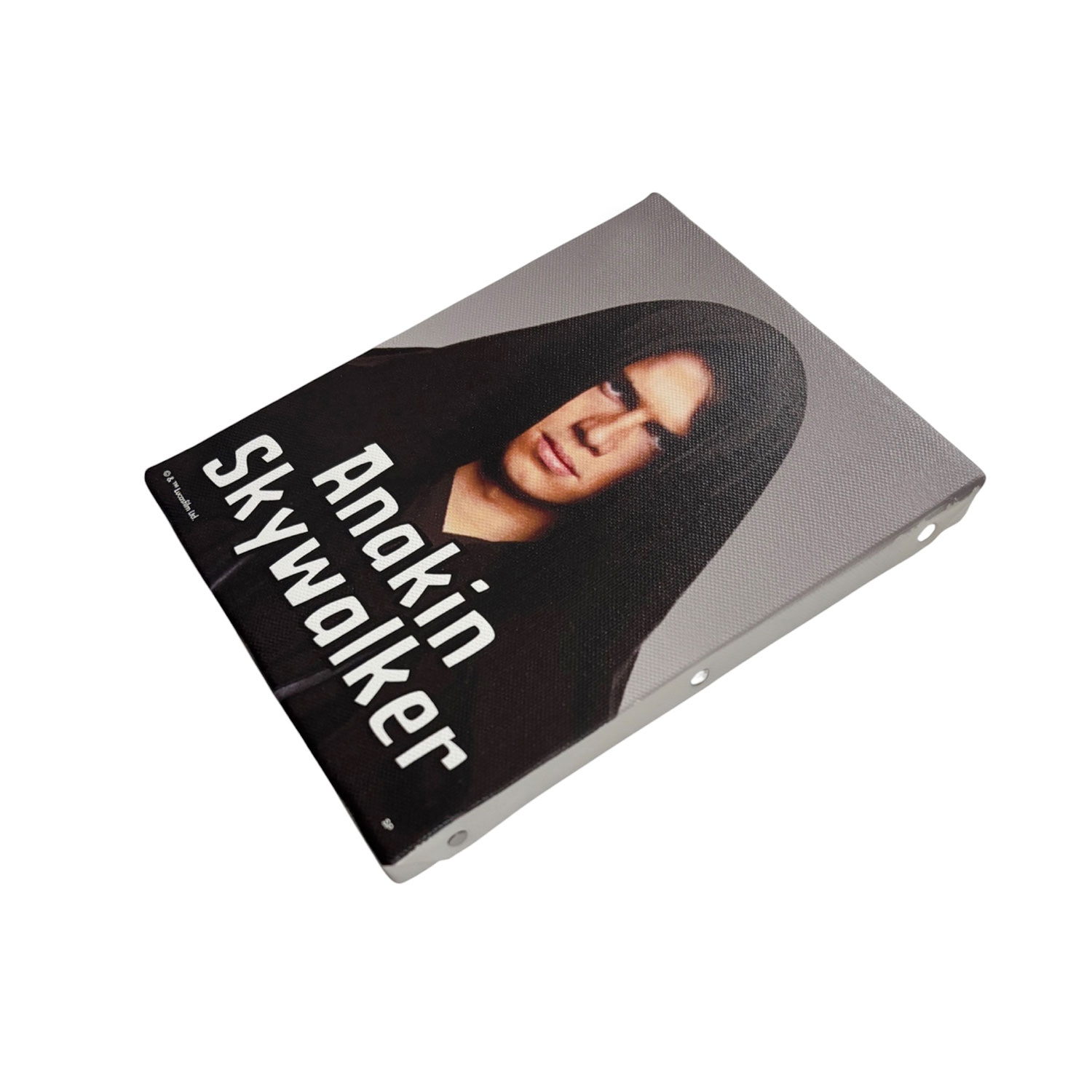 公式] スター・ウォーズ セレブレーション 先行商品 アートパネル F0