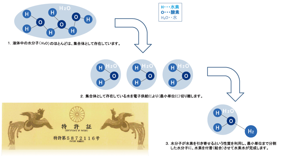 アクアオアシスH2 ｜ AQUA OASIS H2