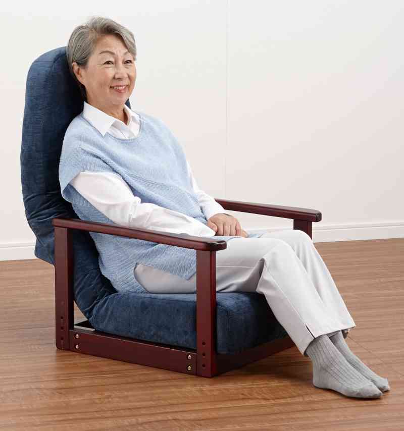 背中ピッタリ腰が楽!背楽チェアSEC-01 | フランスベッド【品番