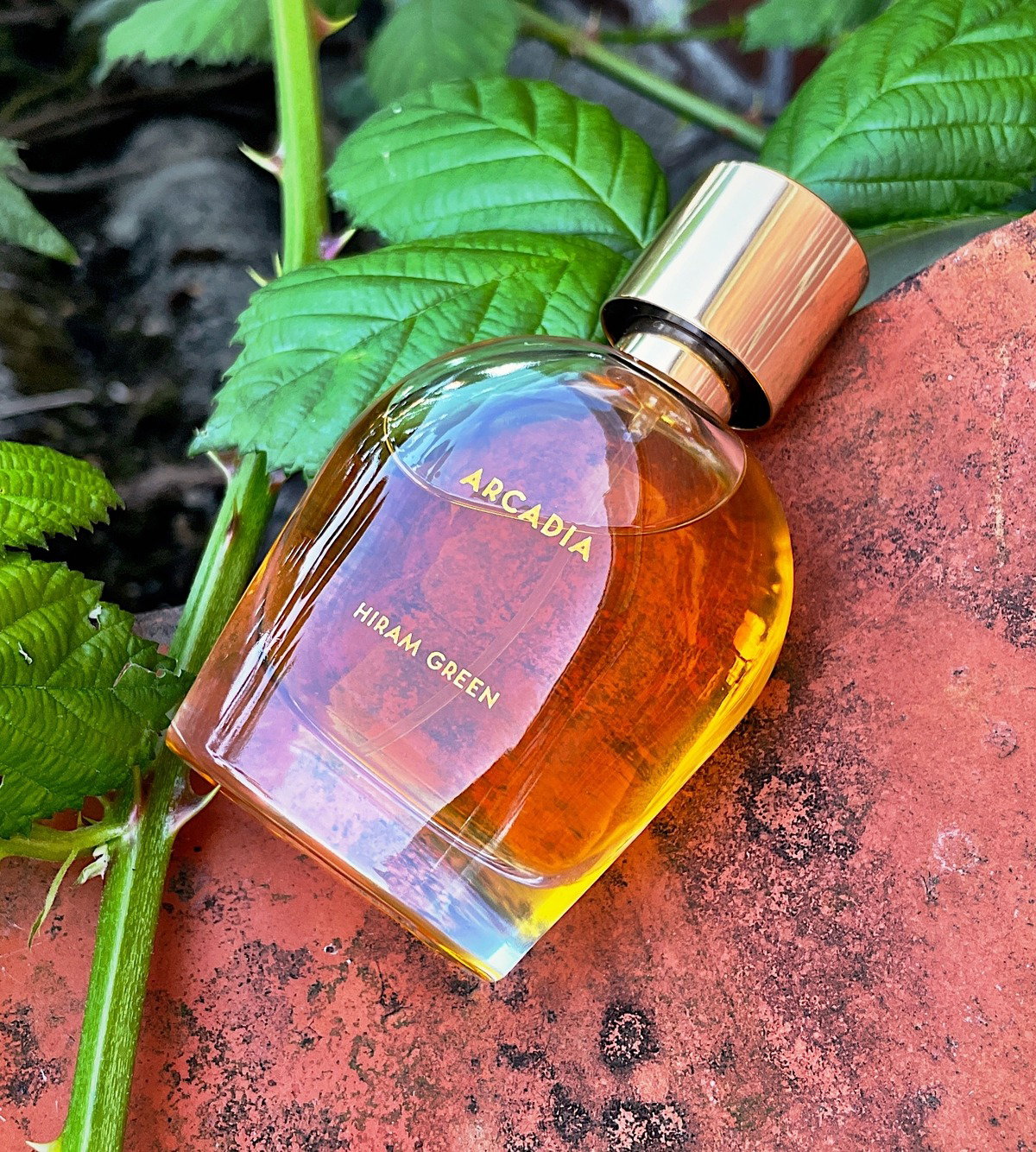Arcadia by Hiram Green » Reviews & Perfume Facts
