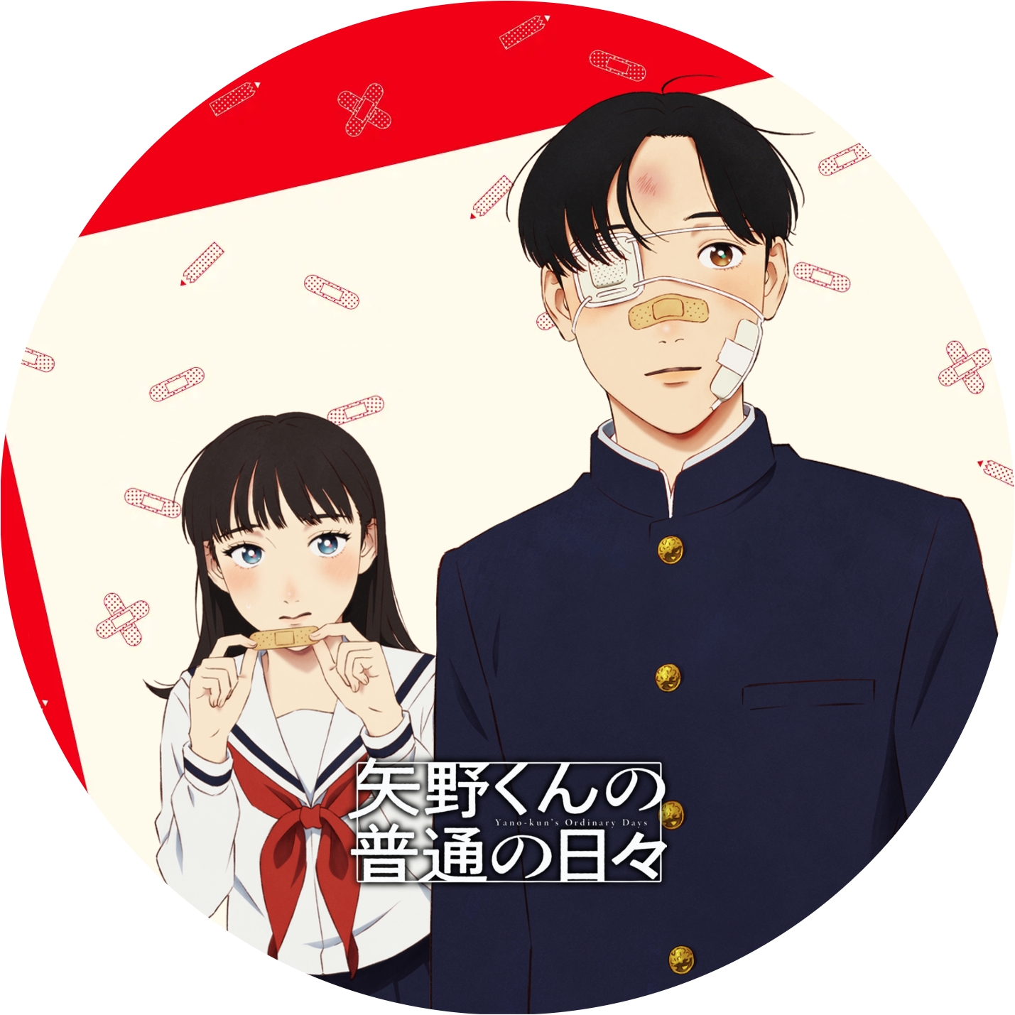 矢野くんの普通の日々 ” の DVDラベルです | meechanmama(みーちゃん