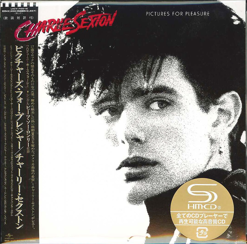 芽瑠璃堂 ＞ チャーリー・セクストン 『ピクチャーズ・フォー