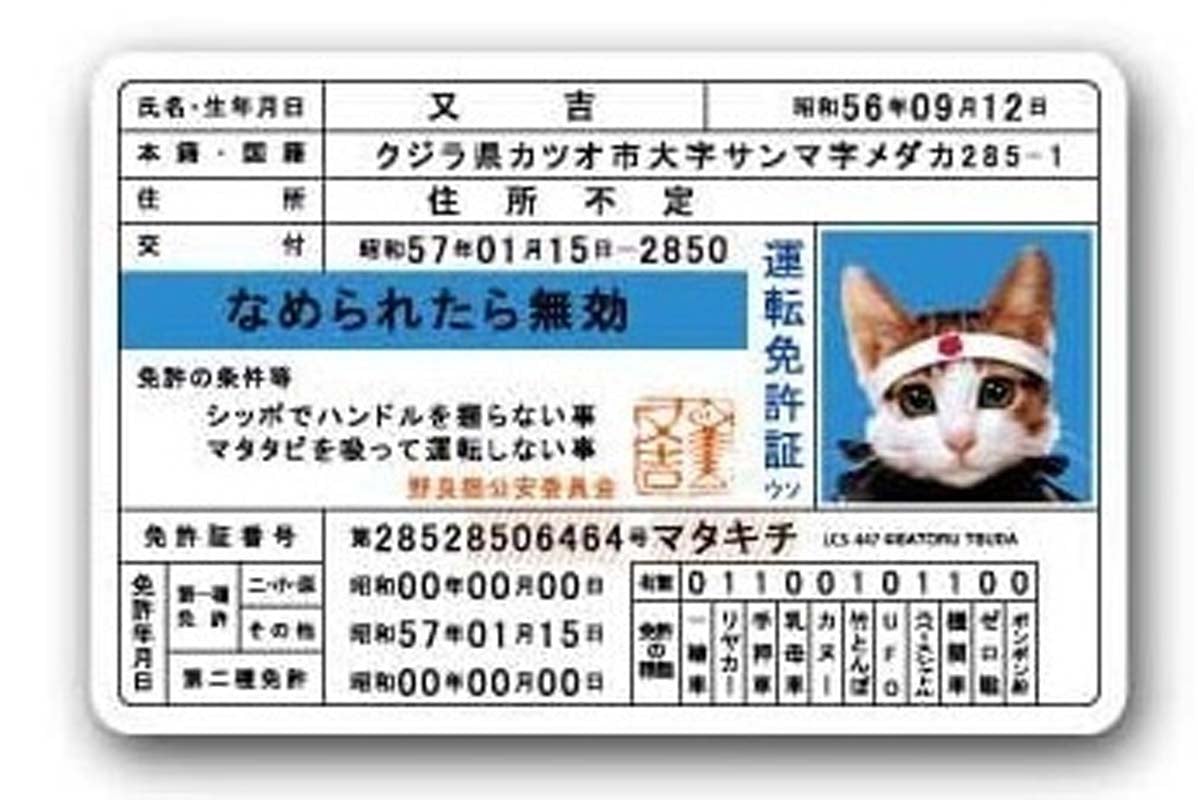 なぜ「なめ猫免許証」は1200万枚も売れたのか？――権威を遊びに変え