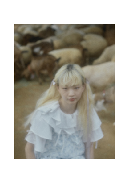 新品】MERRY/NEW LEGEND OF HIGH COLOR メリー 新品】MERRY/NEW LEGEND