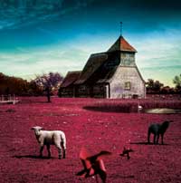 ALBUM | メリー Official Website