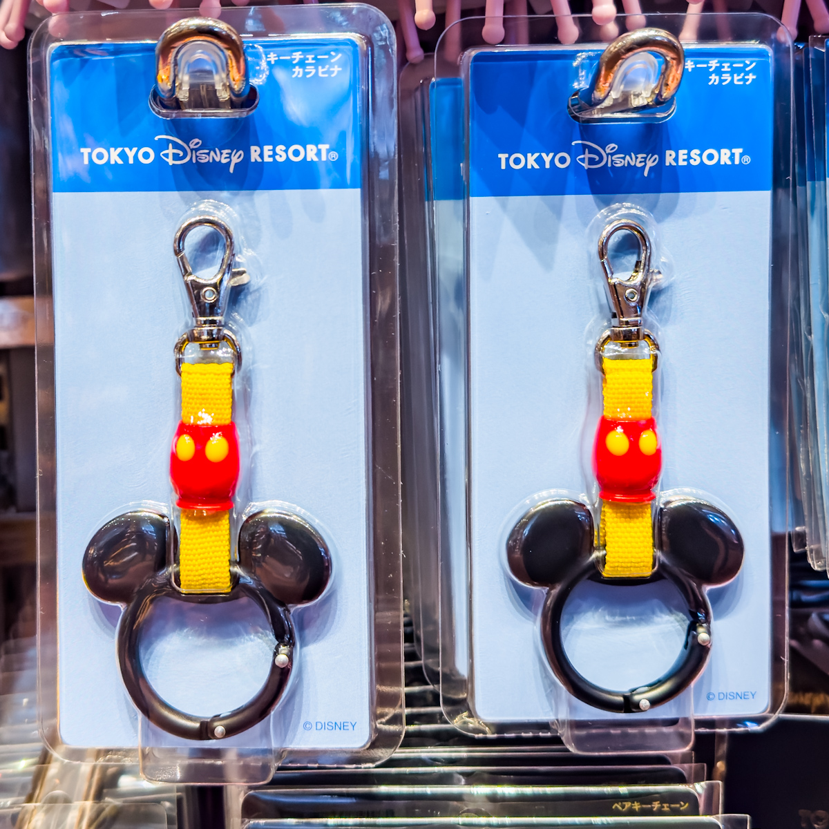 リゾートライナーのつり革デザイン！東京ディズニーランド「ディズニー