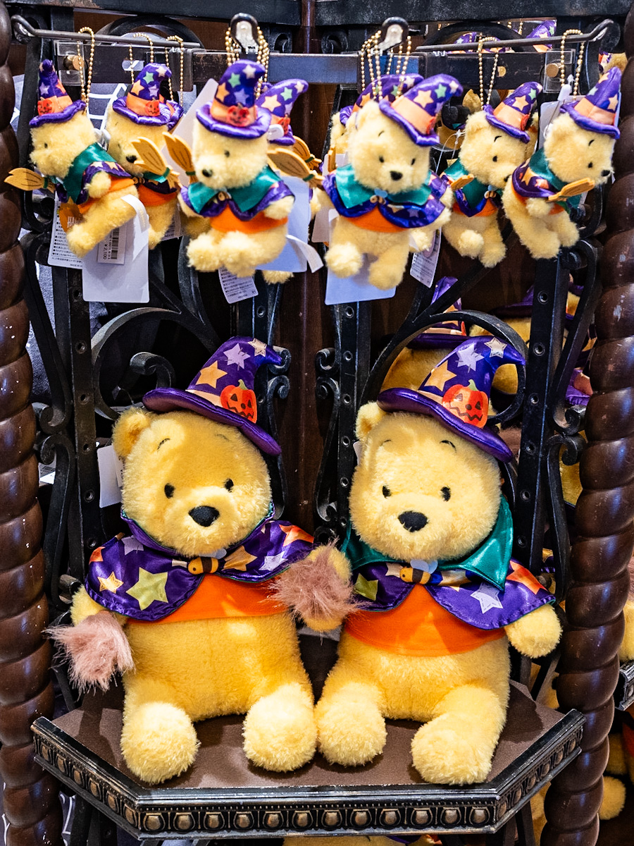 かわいい魔法使いに仮装！東京ディズニーランド”ディズニー