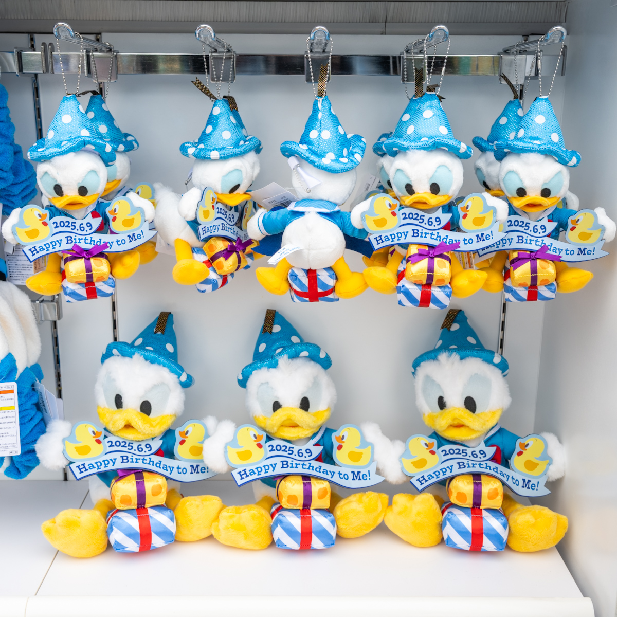 2025年のお誕生日をお祝い！東京ディズニーリゾート「ドナルドダック