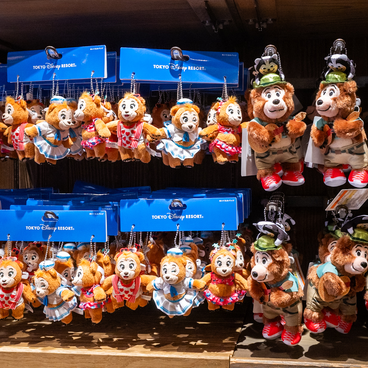 バケーション・ジャンボリーのヘンリー＆ザ・サンボネッツ！東京