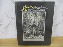 Amazon.co.jp: d1-1（ダリウス・キンゼイ写真集 森へ）初版 D・ボーン