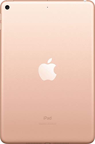 Amazon.com : Apple iPad mini 5th Generation, Wi-Fi, 256GB - Gold