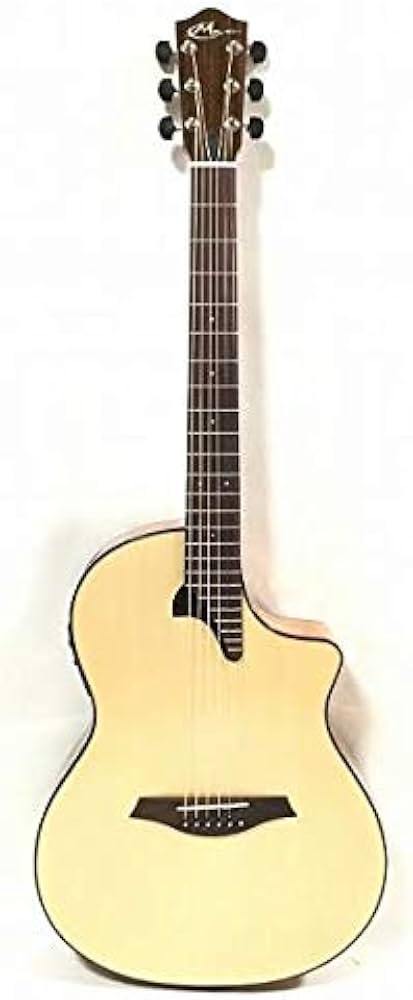 Amazon.co.jp: Mayson PS-300 : Musical Instruments