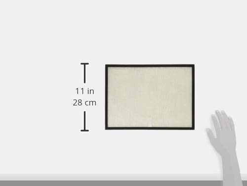 Amazon | 東芝(TOSHIBA) 空気清浄機用交換フィルター 集じん・脱臭