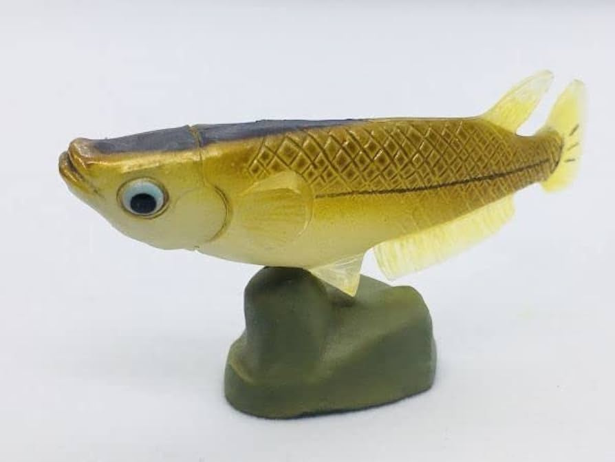 Amazon.co.jp: めだか メダカ 魚類 海 魚 川 フィギュア 日本 生き物