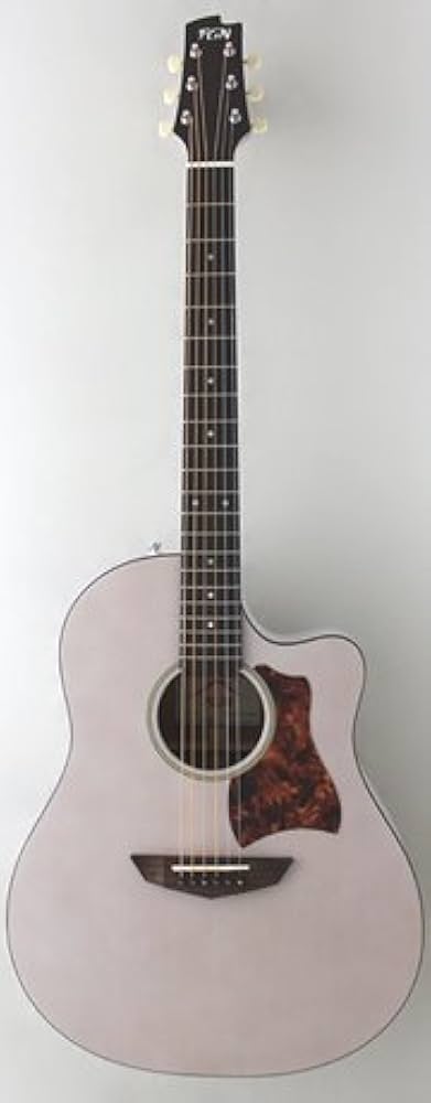 たけC FGN AG1E たけC FGN AG1E FGN ACOUSTIC AG1E TWF Transparent