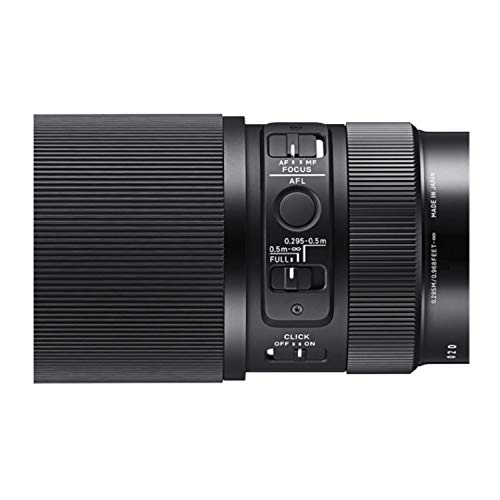Amazon.com : Sigma 105mm F2.8 DG DN Macro Art (L-mount) : Electronics