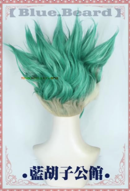 Amazon.co.jp: ドクターストーン 石神千空 コスプレウィッグかつら wig