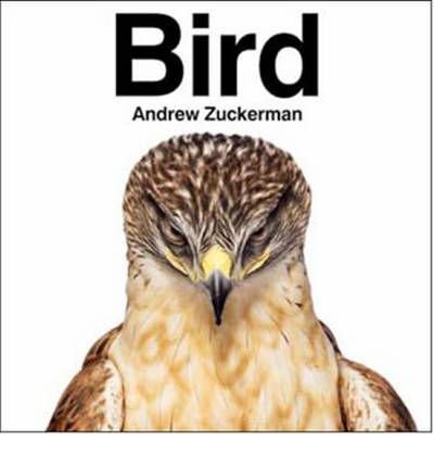 Amazon.co.jp: Andrew Zuckerman: 本、バイオグラフィー、最新アップデート