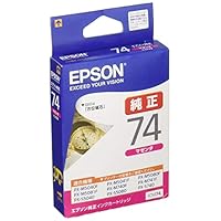 Amazon.co.jp: エプソン 純正 インクカートリッジ 方位磁石 ICC74