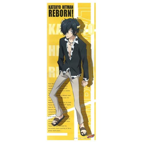 Amazon.co.jp: 家庭教師ヒットマンREBORN! スティックポスター 大人