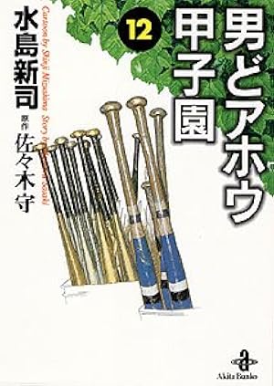 男どアホウ甲子園 第18巻 (サンデー・コミックス) | 佐々木 守, 水島