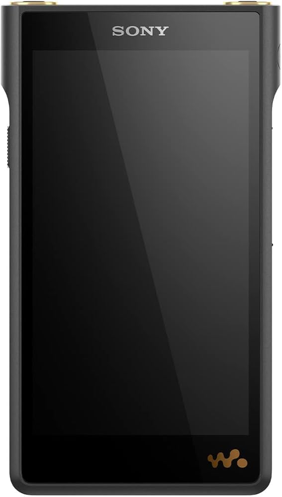 Amazon.co.jp: Sony NW-WM1AM2 128GB ウォークマン デジタル MP3