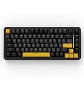 Amazon.co.jp: MAMBASNAKE×ATTACK SHARK【X60HE&X11】eスポーツセット