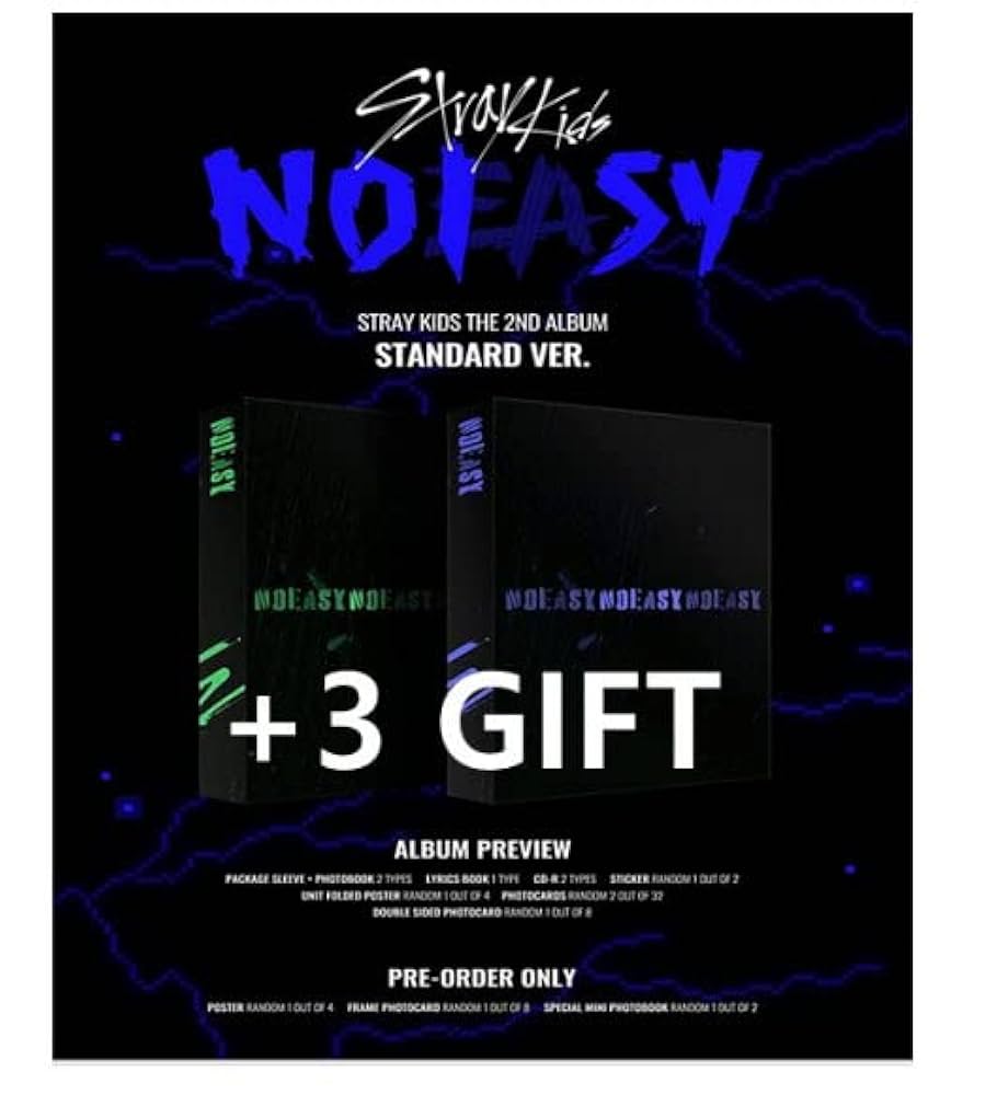 STRAY KIDS NOEASY ポスター&フォトカード付き Stray Kids 2nd Album