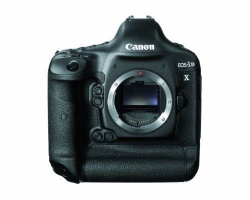 Amazon.com : Canon EOS-1D X 18.1MP Full Frame CMOS Digital SLR