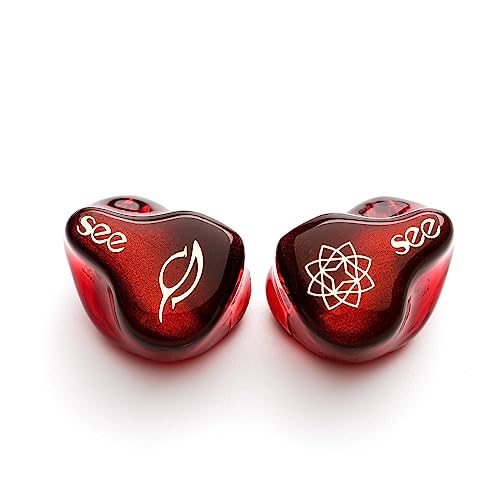 SeeAudio Bravery AE レビュー】とんでもないバランス感覚を備えた超