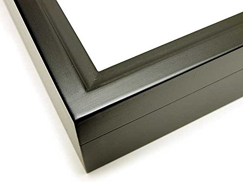 大型ドイツ標本箱（未使用uv） カキカモルフオ 大型ドイツ標本箱（未