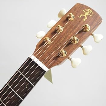 Amazon | aNueNue M30 アコースティックギター Original Series