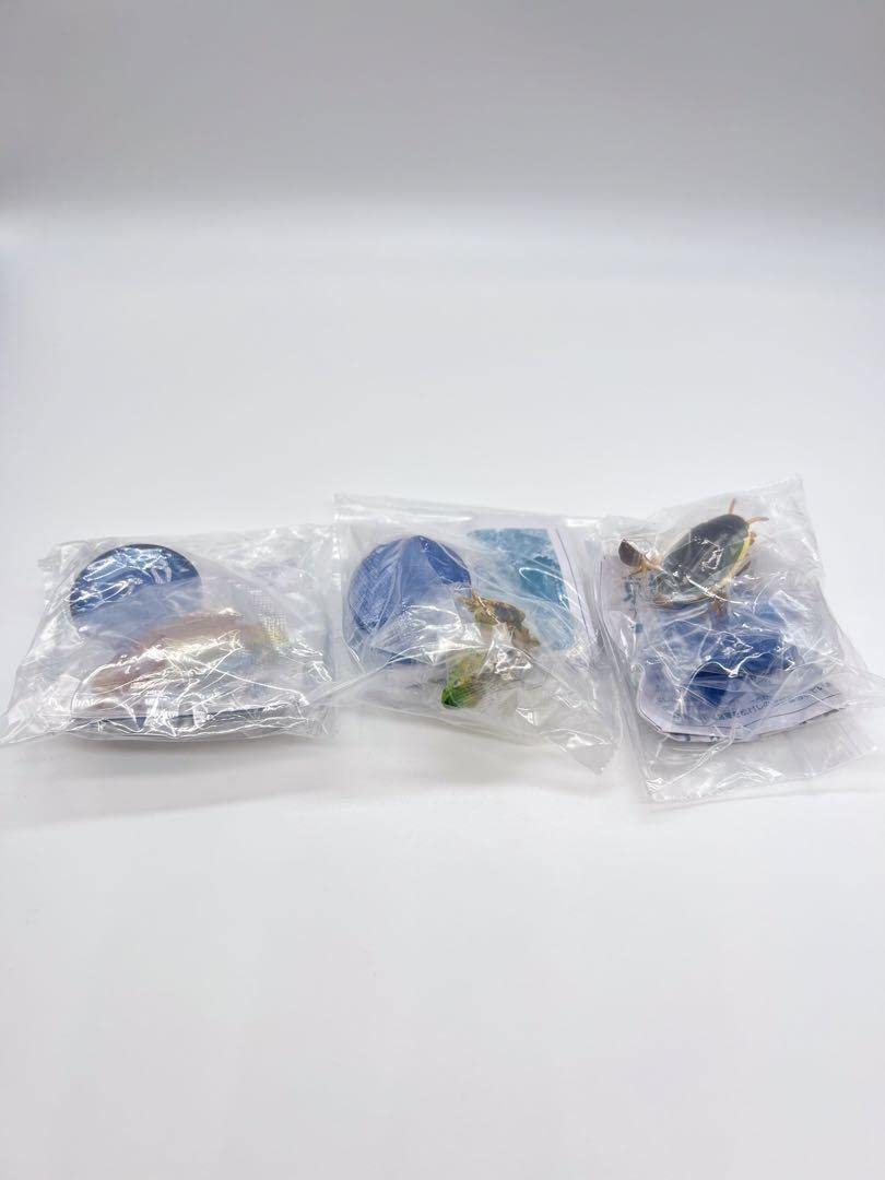 Amazon | 京都水族館限定フィギュアコレクション オオサンショウウオ