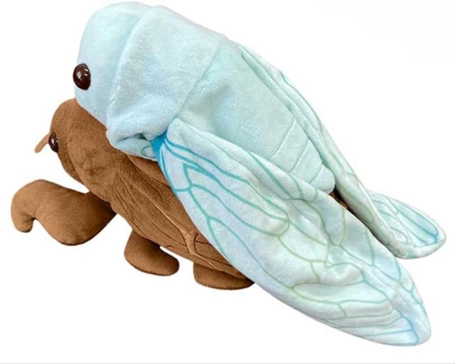 Amazon.co.jp: セミの抜け殻からセミ ぬいぐるみ 昆虫マニアック