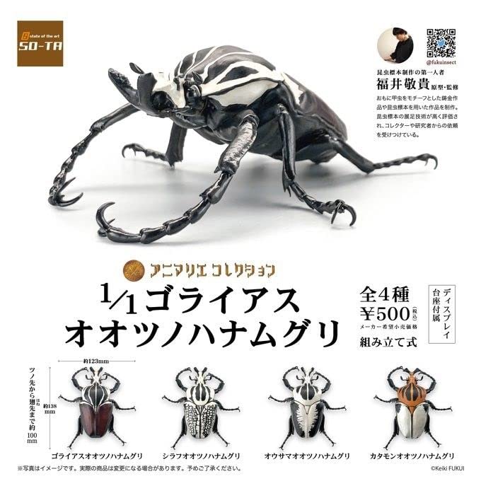 Amazon.co.jp: ゴライアスオオツノハナムグリ 4種 フルコンプ ガチャ