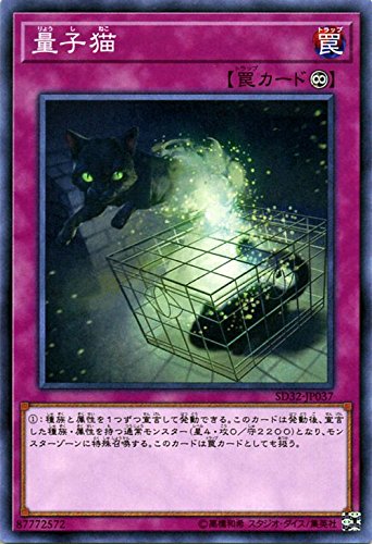 Amazon.co.jp: 遊戯王/量子猫（ノーマル）/サイバース・リンク : ホビー