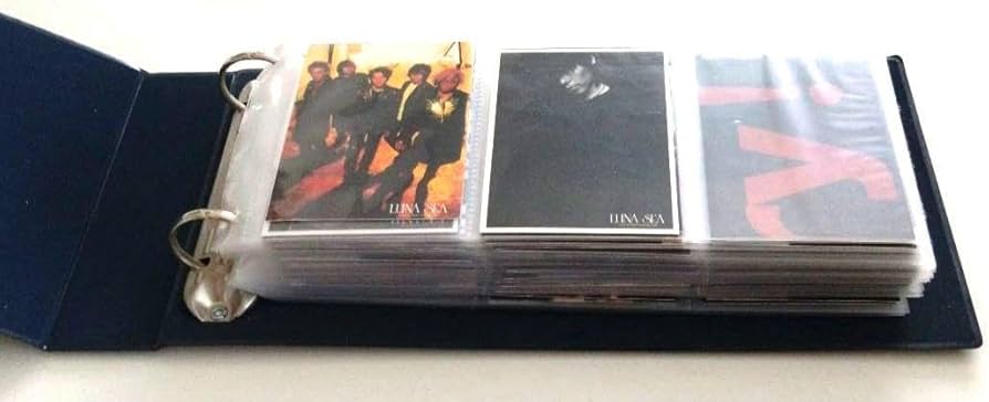 Amazon.co.jp: LUNA SEA MUSEUM 2001 トレカ : おもちゃ
