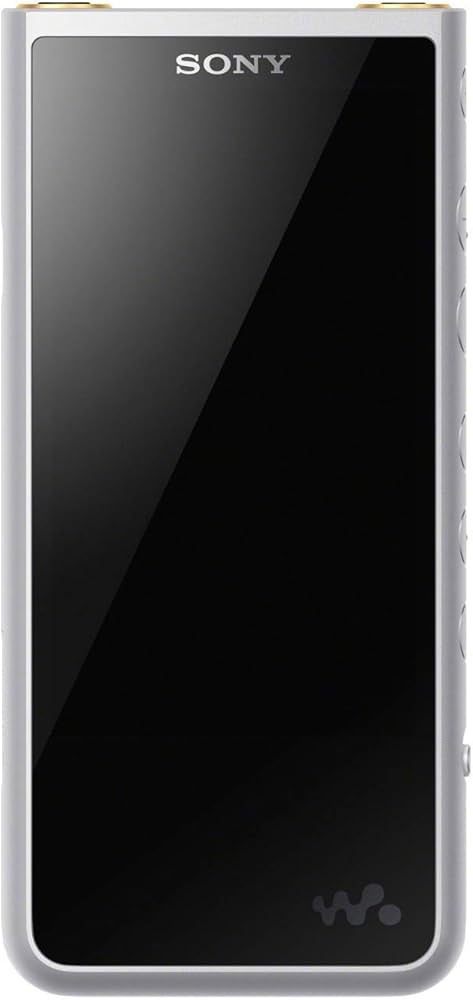 Amazon.com: Sony NW-ZX507/S Walkman Hi-Res 64GB MP3 Player, Silver