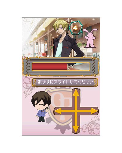 Amazon.co.jp: 桜蘭高校ホスト部DS(通常版) : ゲーム